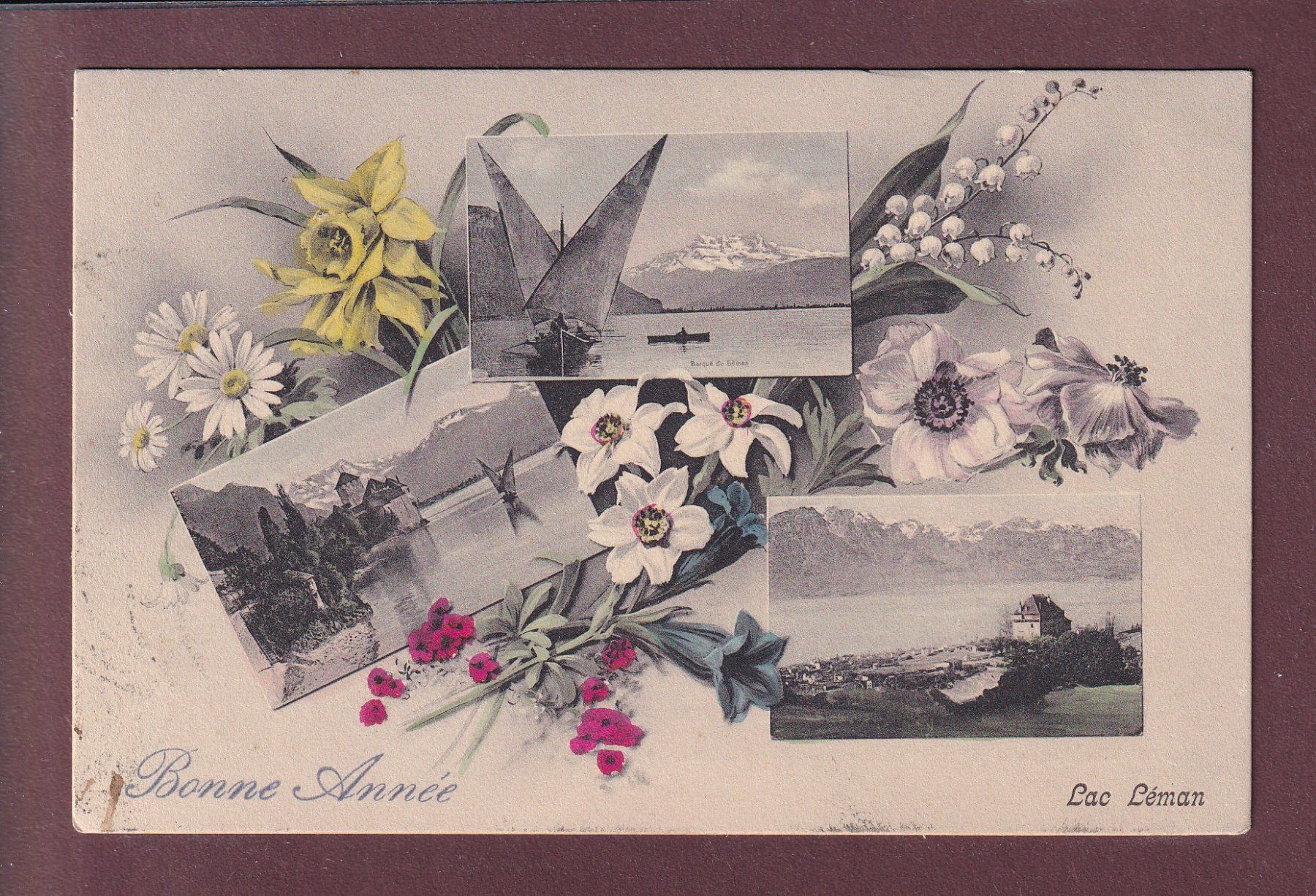 Cartoline postali: LAC LEMAN - Bonne Année - 1907 – Usato da Pully venduto da nicecards