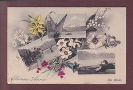 LAC LEMAN - Bonne Année - 1907
