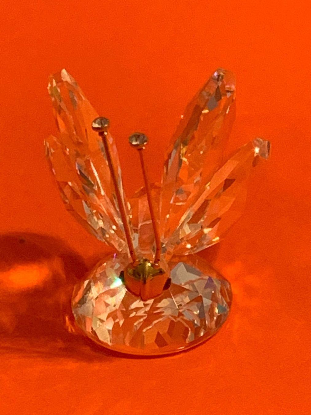 Swarovski Figuren: Swarovski Grosser Schmetterling – Neu (gemäss Beschreibung) aus Oberglatt ZH von Multimix 2