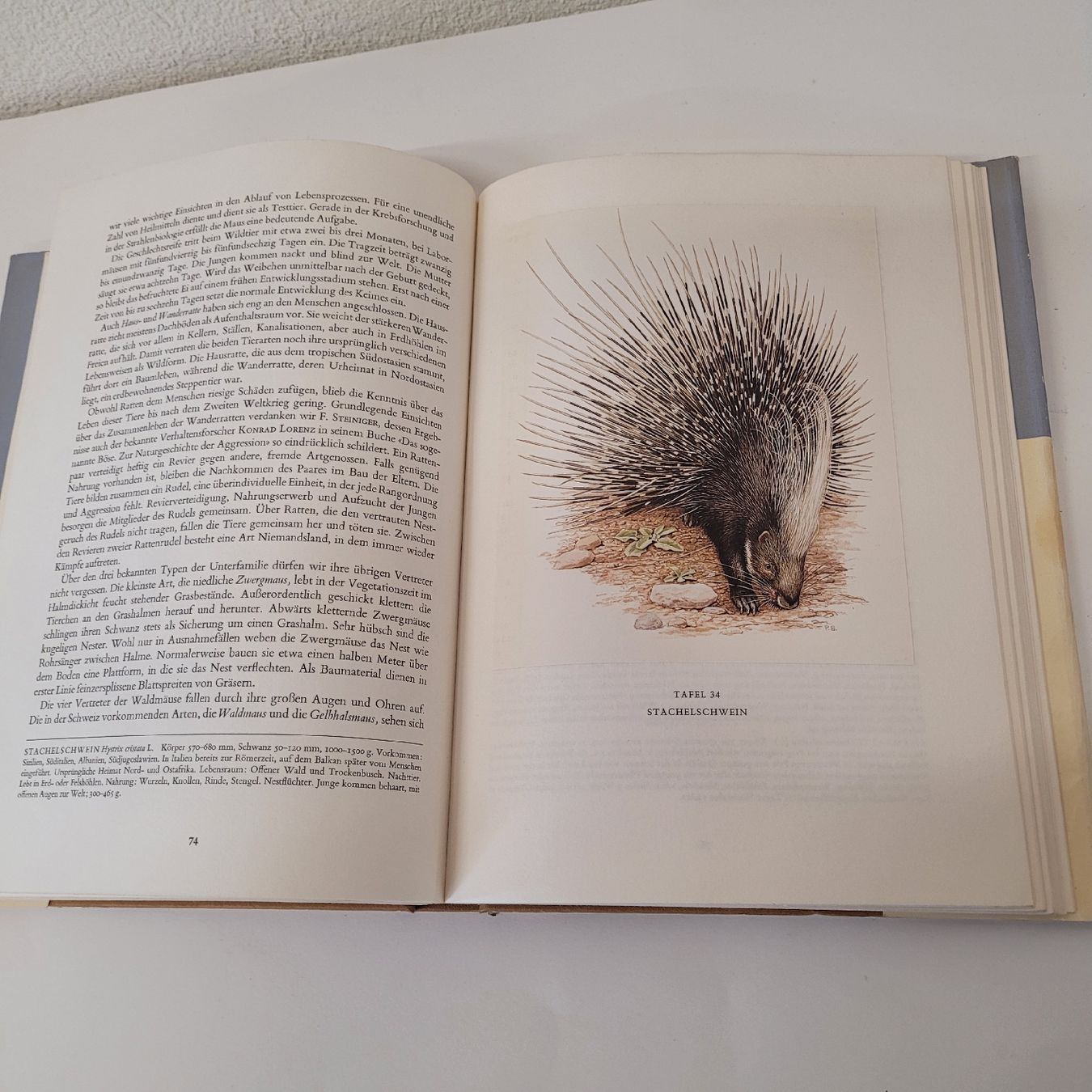Bücher: buch säugetiere europas – Gebraucht aus Reichenburg von AK307 3