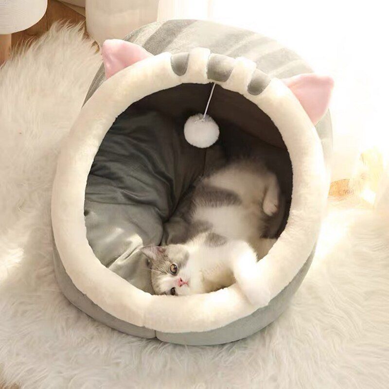 Cucce & Letti: Panier avec coussin pour chat – Nuovo e nell'imballaggio originale da Uvrier venduto da AlpineTreasures 1