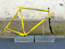 CASATI COLUMBUS NEURON DOSSENA Stahl Rahmen LOOK CARBON 2607