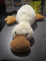 Ente eierschalenweiss, liegend