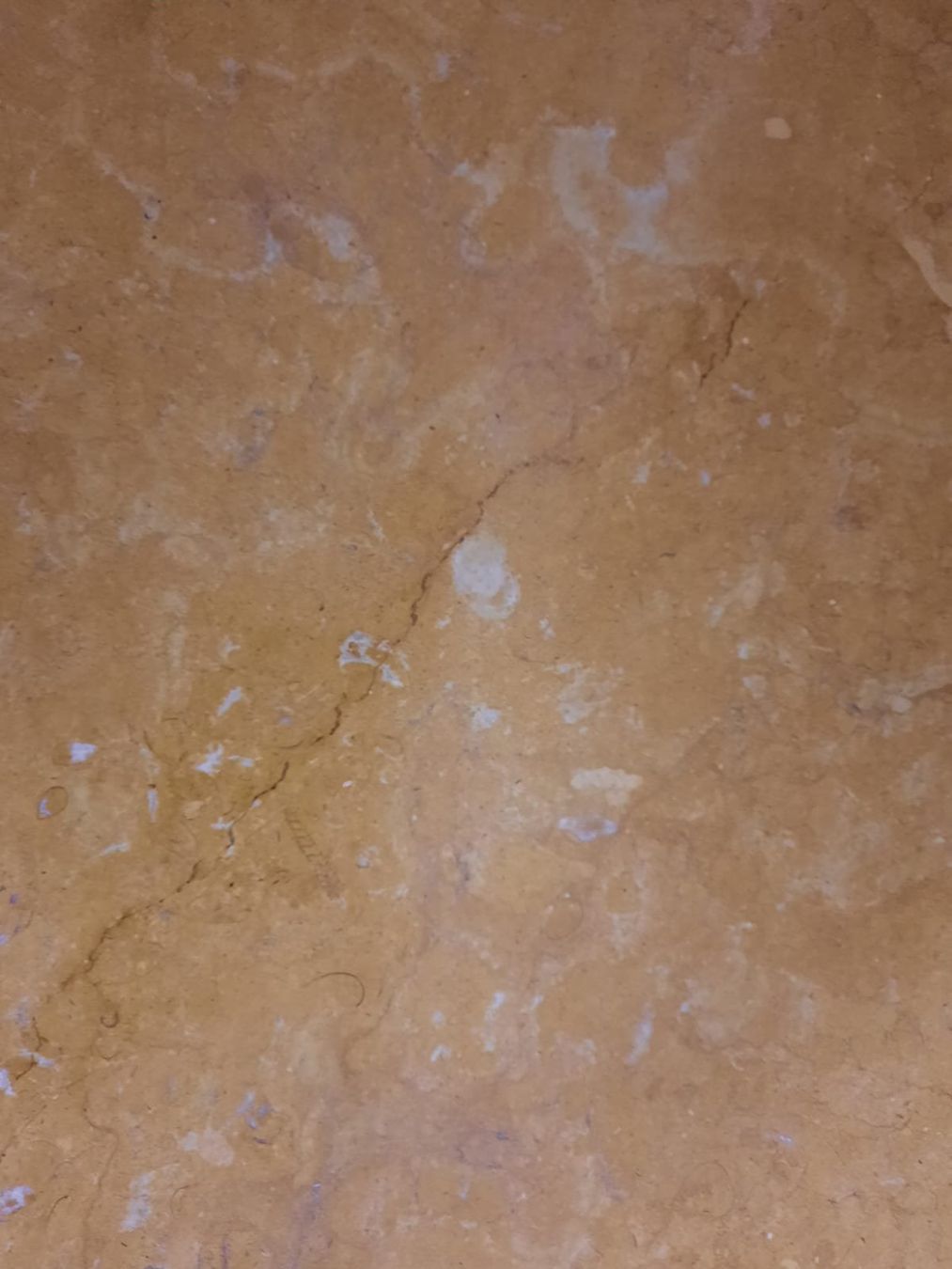 Tische: Couchtisch – Gebraucht aus Mellingen von fiore888 3