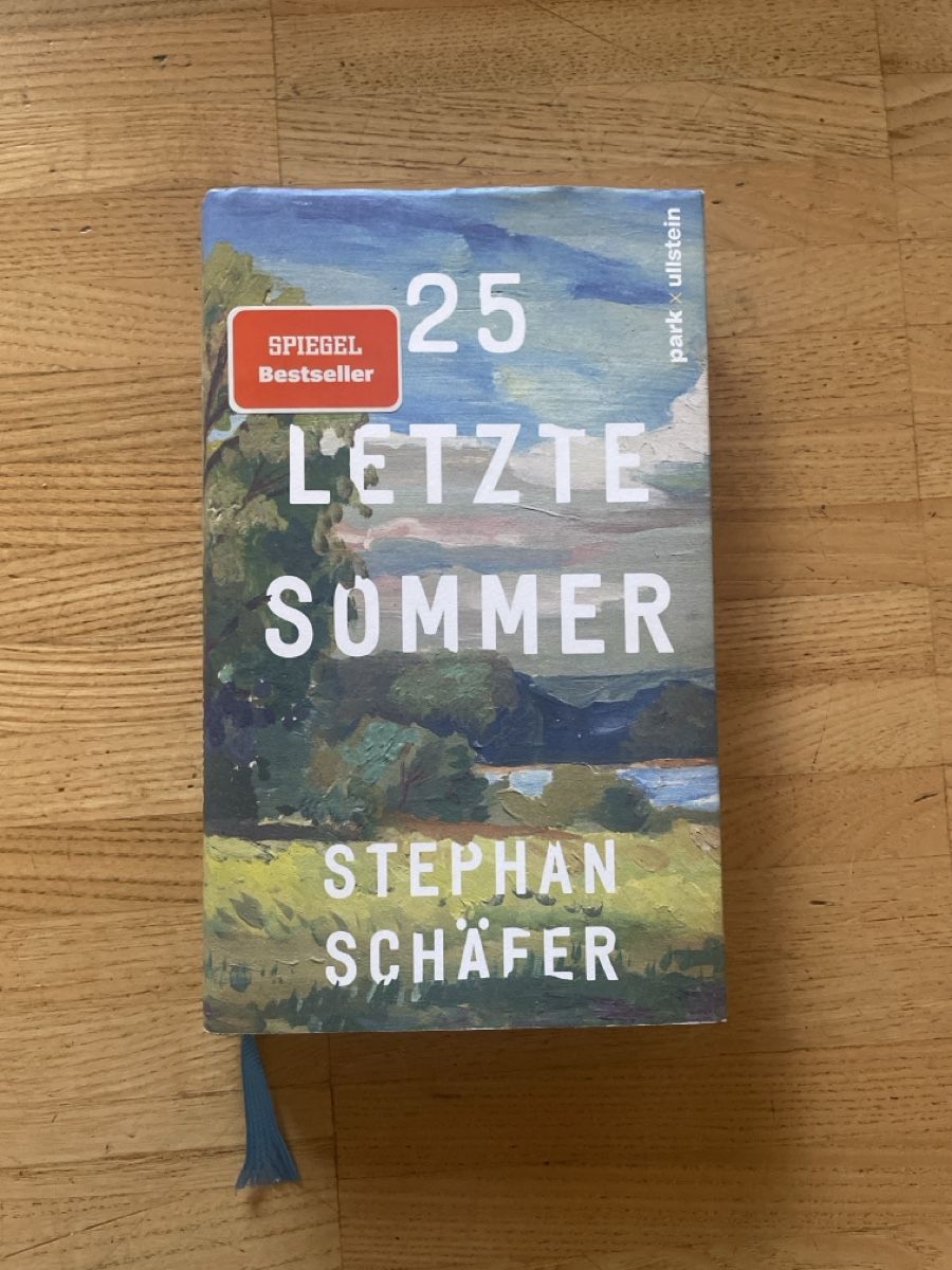 Libri: 25 Letzte Sommer, Roman von Stephan Schäfer – Usato da Männedorf venduto da Pnibo