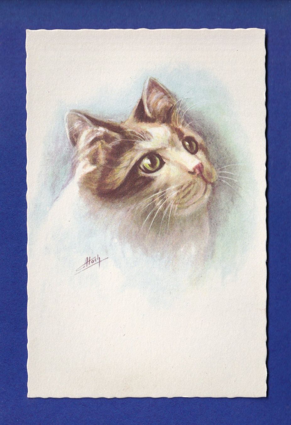 Ansichtskarten: CHAT - Atoch – Gebraucht aus Pully von nicecards-shop