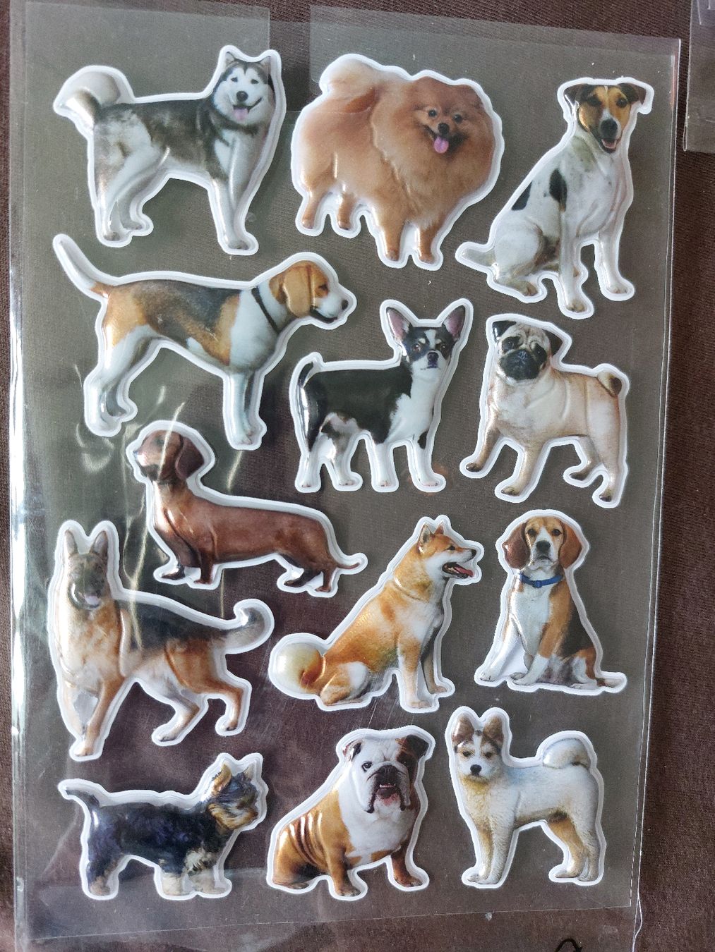 Alle Dekorationen: Stickers Hunde  – Neu (gemäss Beschreibung) aus Unterseen von Ruia3333