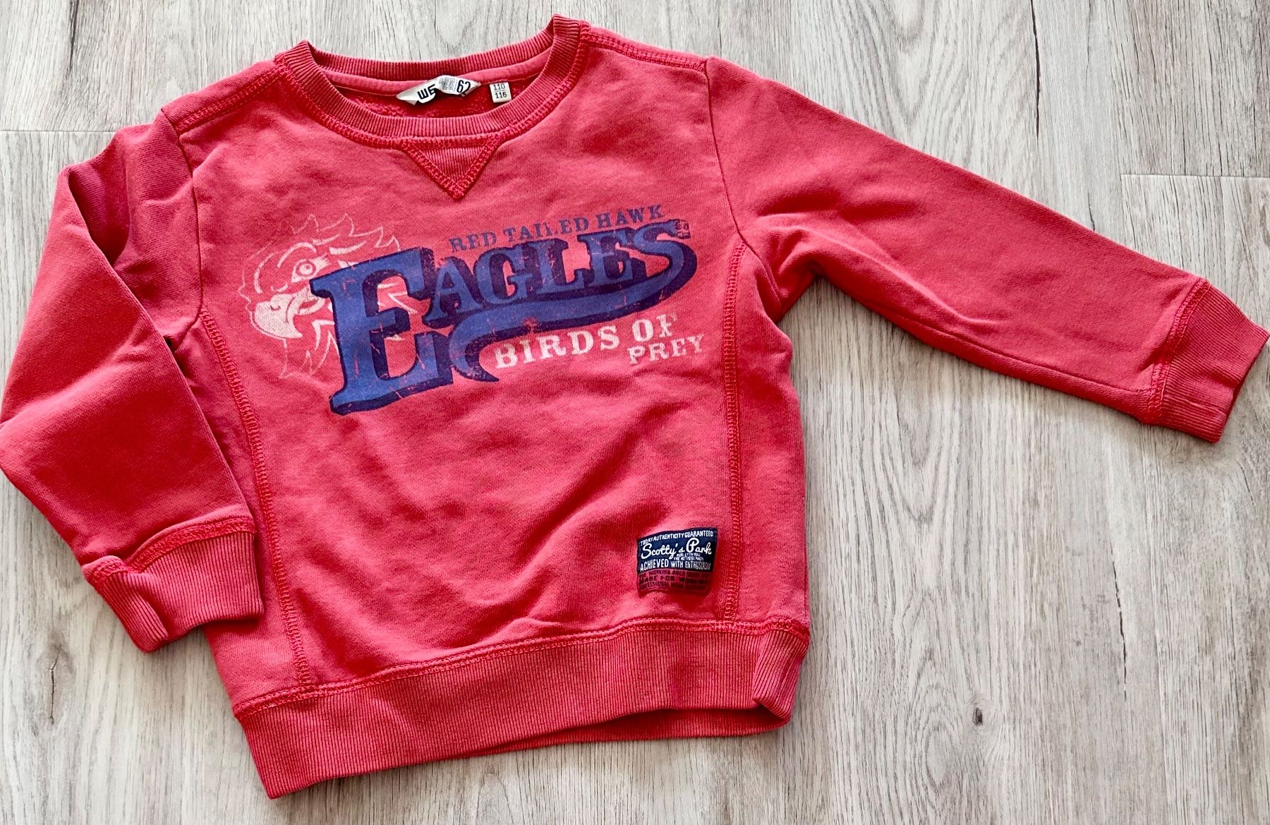 We Pulls et sweat-shirts: TOP Gr 110/116 WE MODE Langarm Shirt Pullover EAGLES – D'occasion à Rickenbach b. Wil par sunneschii_ 1