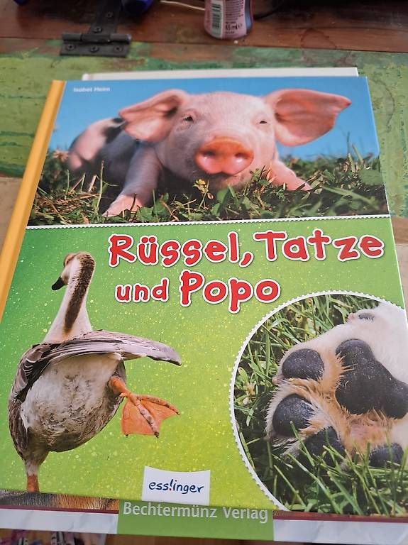 Libri: Kinder endecken die Welt Bücher – Usato da Pfäffikon SZ venduto da yello13 2