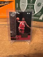 LeBron James Upper Deck national trading day