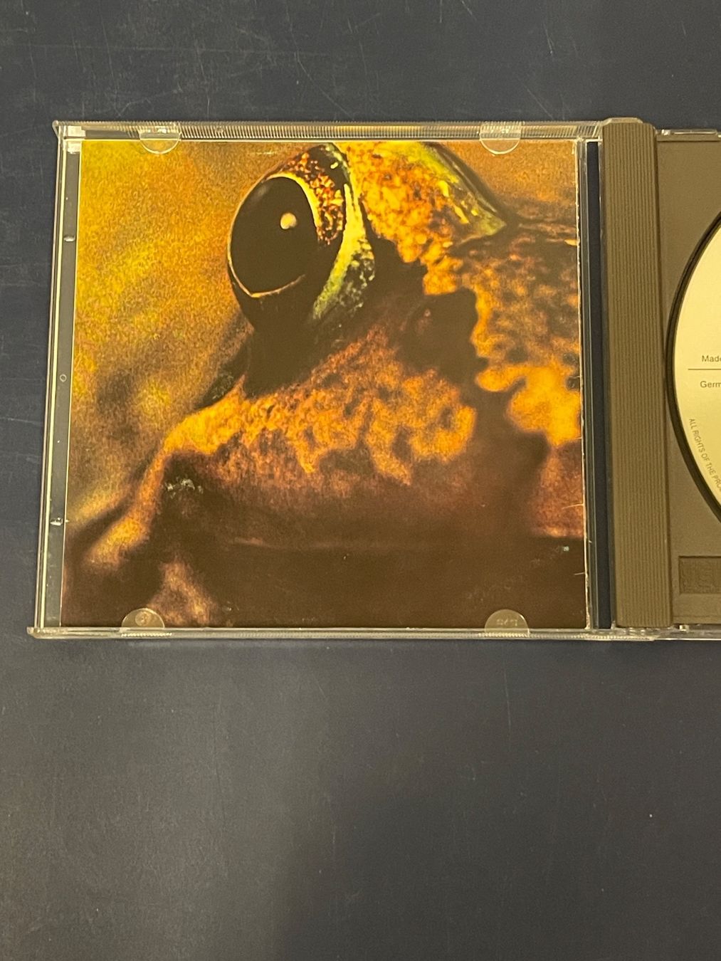 CDs: Toad – D'occasion à Rüti ZH par alumedien 3