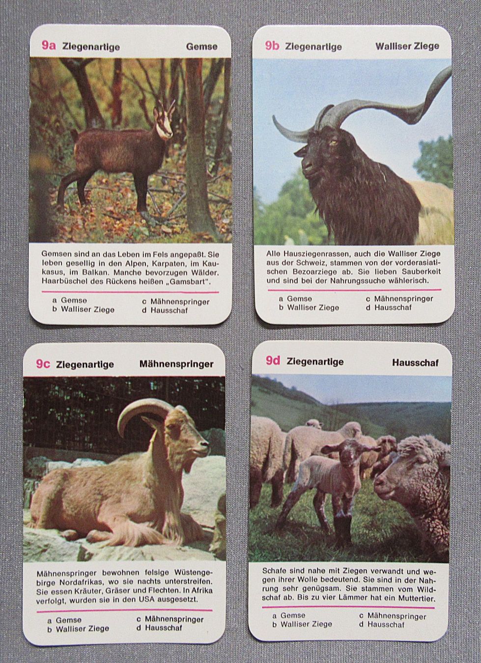 Giochi: Quartett - Grizmeks Tierbilder IV - ab CHF 4.00 – Usato da Auenstein venduto da Padabimbim 6
