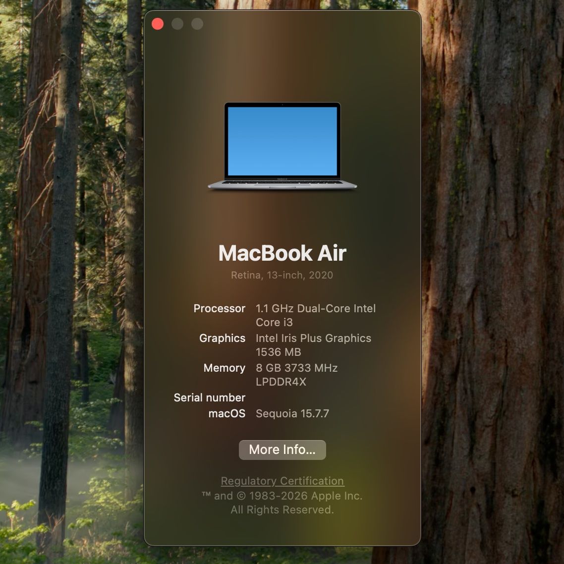 Apple Notebooks: MacBook Air 2020 13" OVP – Gebraucht aus Schaffhausen von derdan 3