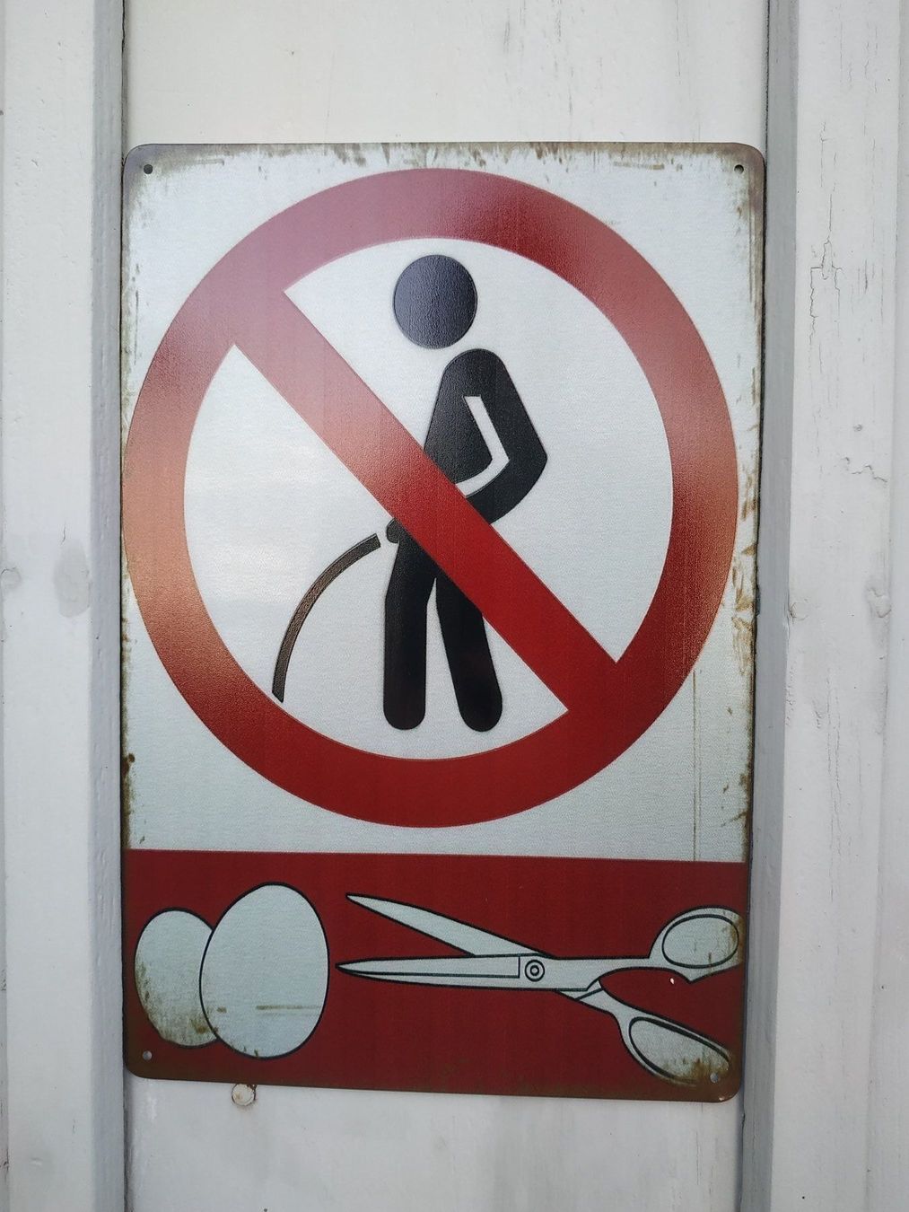 Insegne: Blechschild Warnschild. Wildpinkeln pinkeln verboten Eier – Nuovo e nell'imballaggio originale da Dürnten venduto da Boarsale