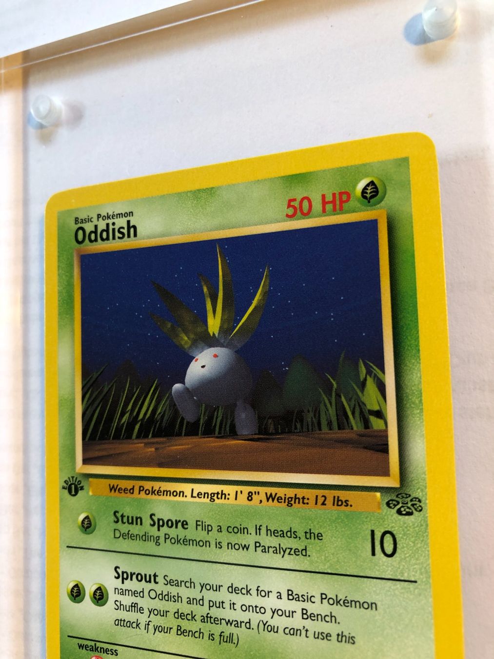Carte collezionabili: Oddish 1st Jungle - LP/NM - ab 1.- – Usato da Giubiasco venduto da dan_pr8b 3