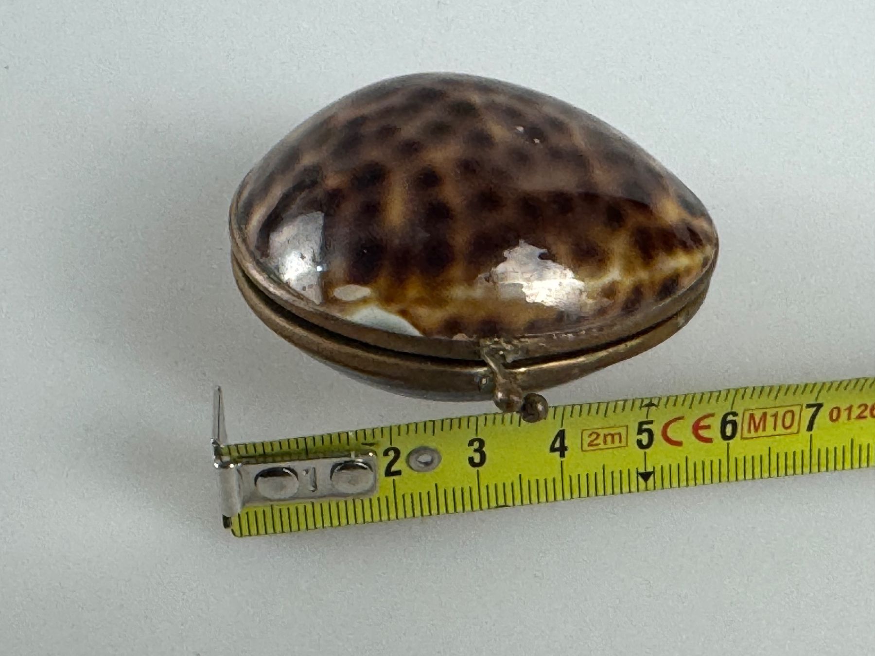 Dosen: Scatola formara da conchiglia tartarugata – Gebraucht aus Genève von Atelier.Curio 4