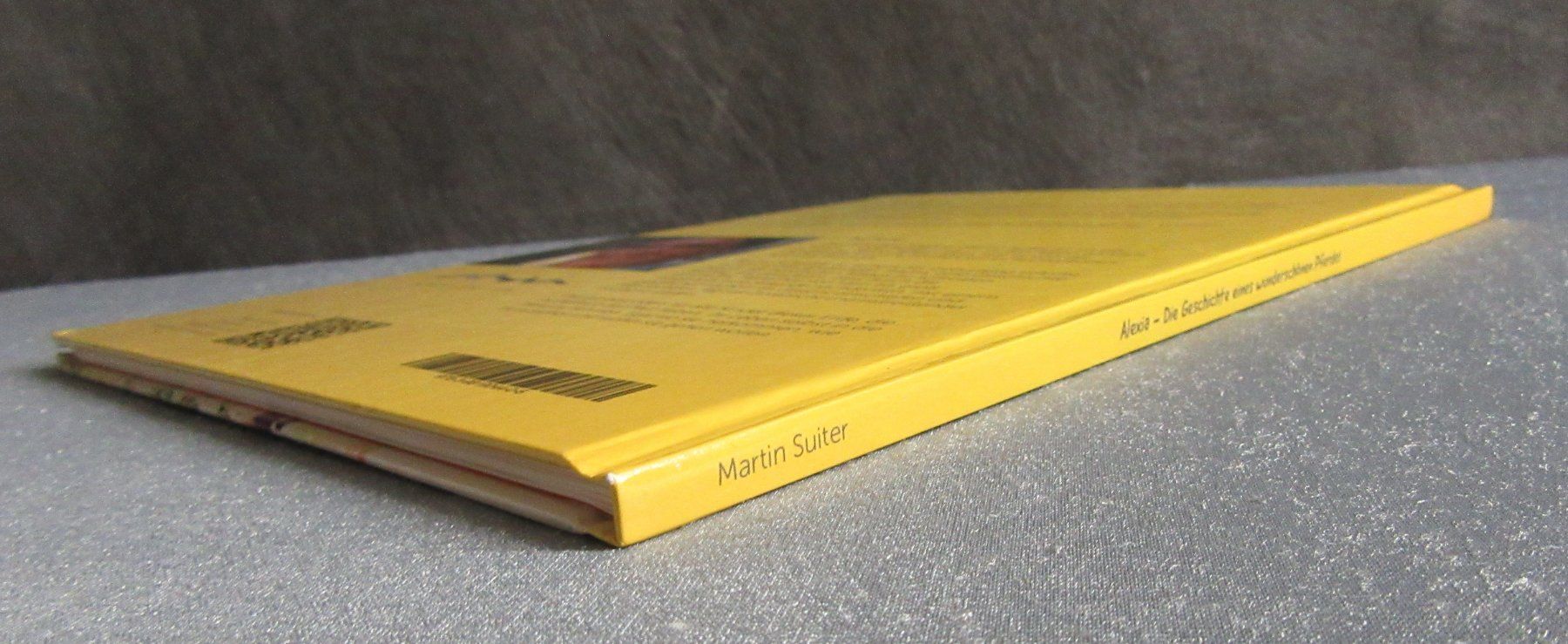 Bücher: Alexia - Die Geschichte eines wunderschönen Pferdes – Gebraucht aus Auenstein von Padabimbim 7