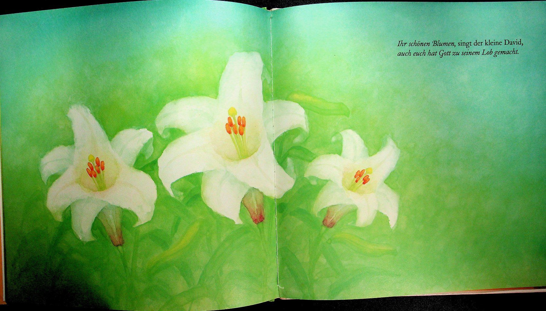 Libri: Masahiro Kasuya David singt Kinder Bilderbuch – Usato da Reitnau venduto da Zaomir 6