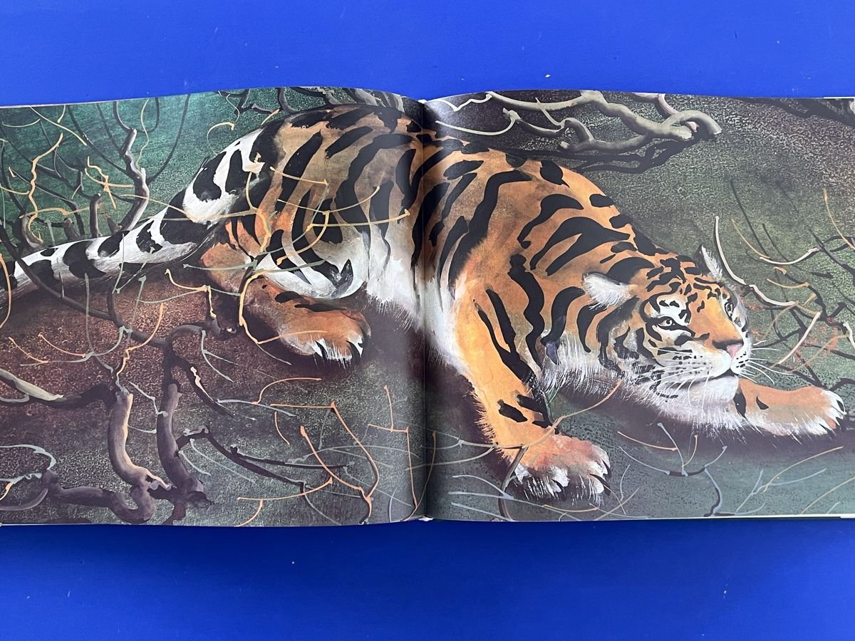 Libri: Hans Erni - India - mit 4 Original Lithographien – Usato da Adliswil venduto da buch_und_kunst 6