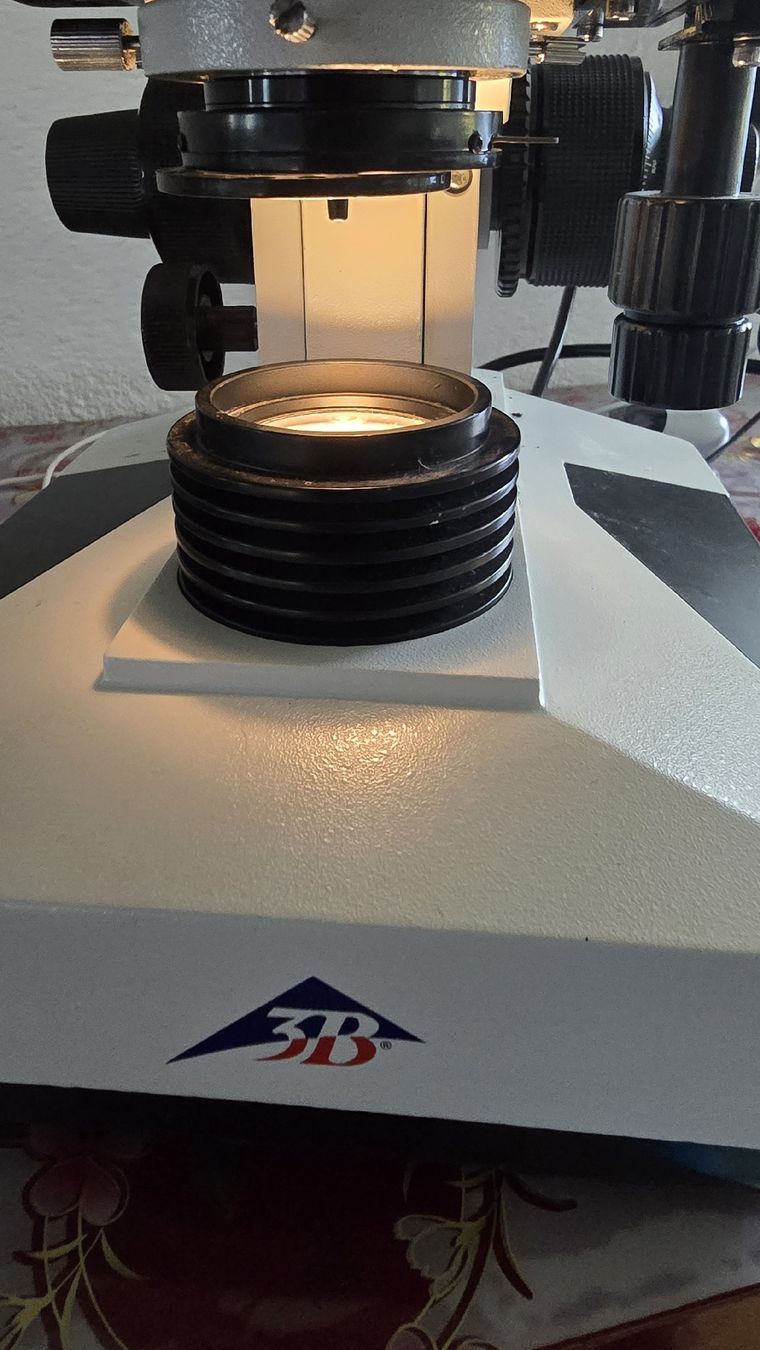 Mikroskopie: 3B Scientific Binocular Microscope Used Defekt model 300 – Defekt aus Studen BE von tha_dhp8 6