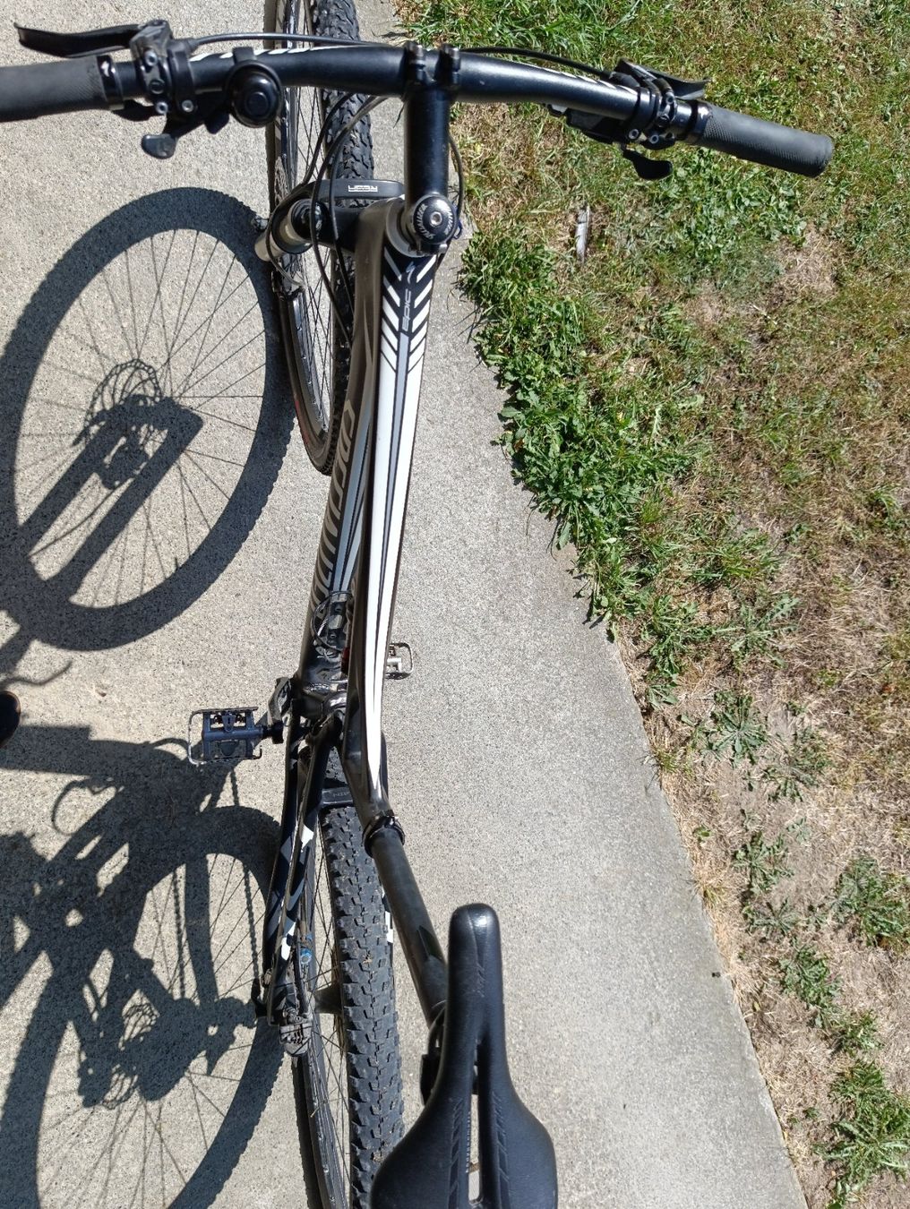 Specialized Biciclette: Specialized Carbon Mountainbike L – Usato da Zürich venduto da study.books 8