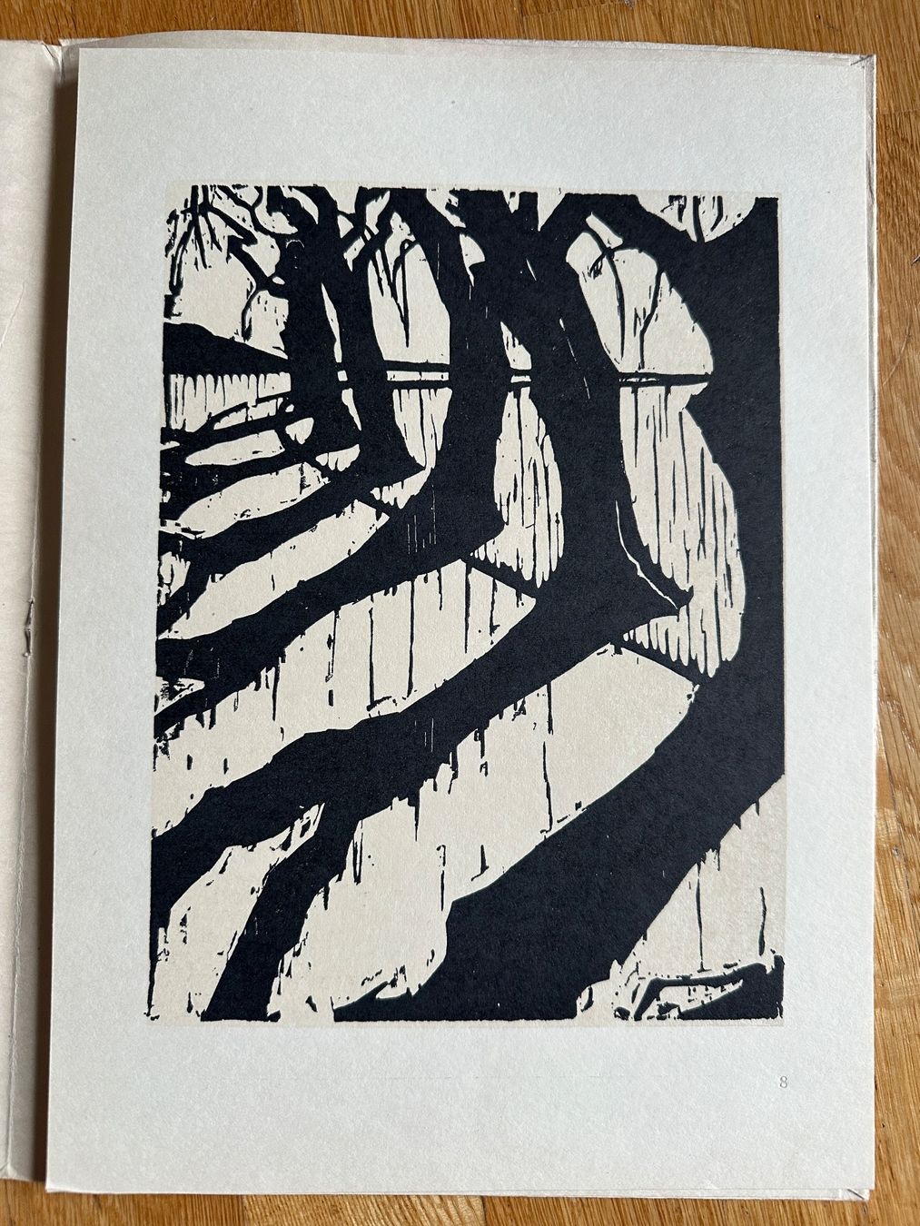 Libri: Jacob Pins: Landscape. (Woodcuts) – Usato da Zürich venduto da allp 4