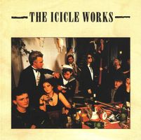 CD The Icicle Works - S/t/Collection (1986)