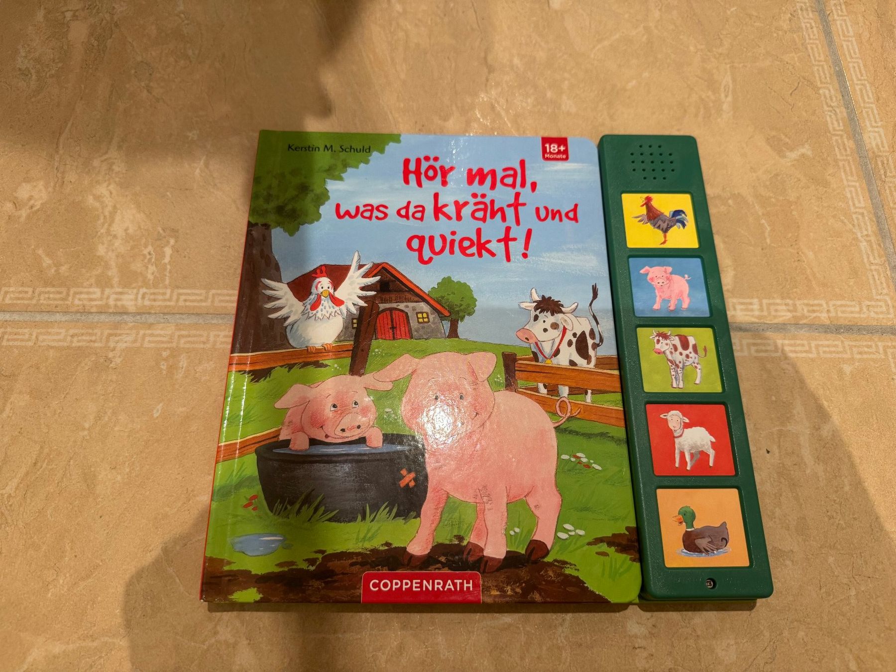 Libri: Buch und Puzzle ab 18 Mt, NP 50 Fr – Nuovo (secondo la descrizione) da Klingnau venduto da Markus14 4