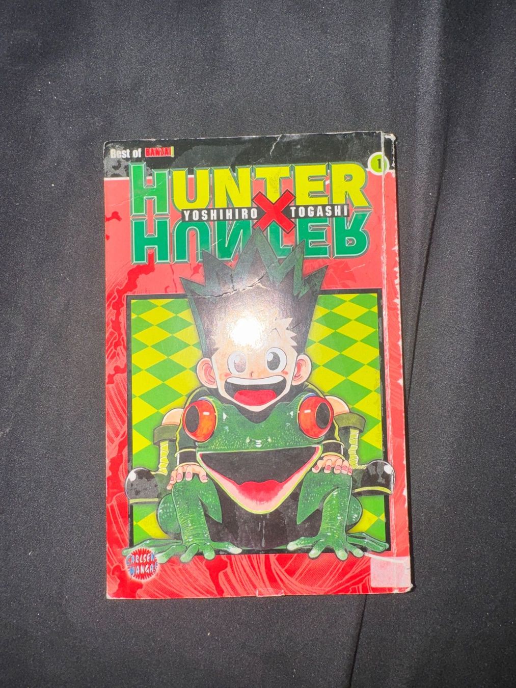Comics: Hunter x Hunter / Naruto Manga – Gebraucht aus Möhlin von davidlan