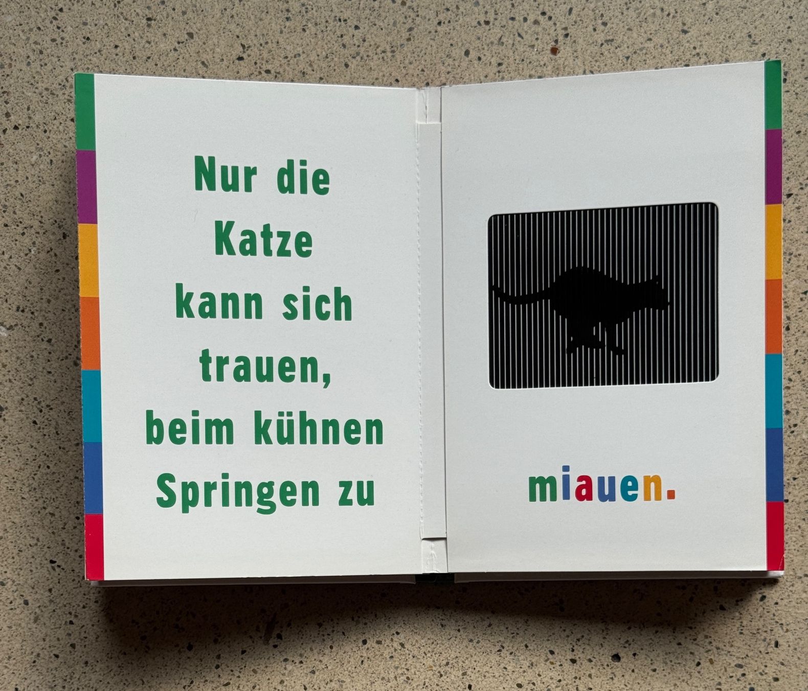 Bücher: Galopp! Neuwertig – Neu (gemäss Beschreibung) aus Zürich von Octopus-275 1