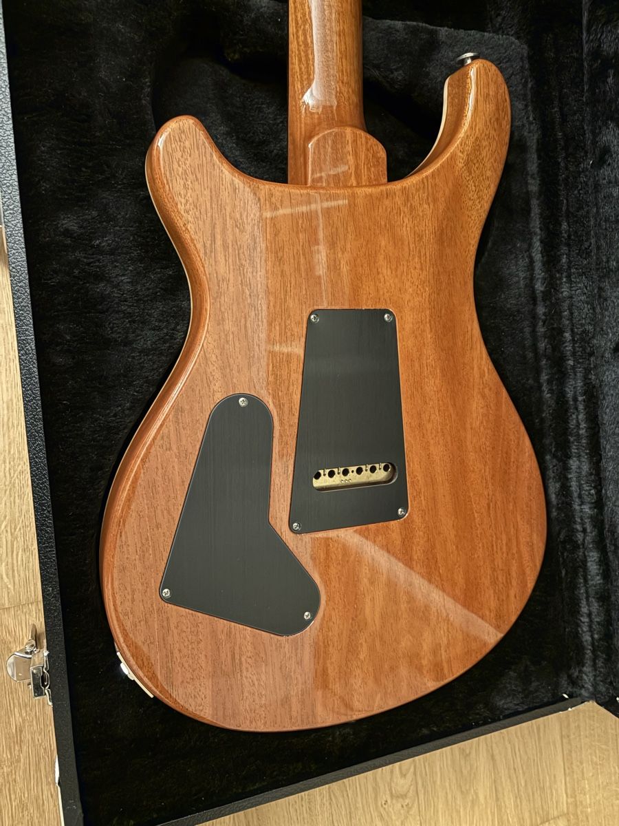 PRS Strumenti musicali: PRS Custom 24 USA 2019 – Usato da Horw venduto da SuzeCassis 2