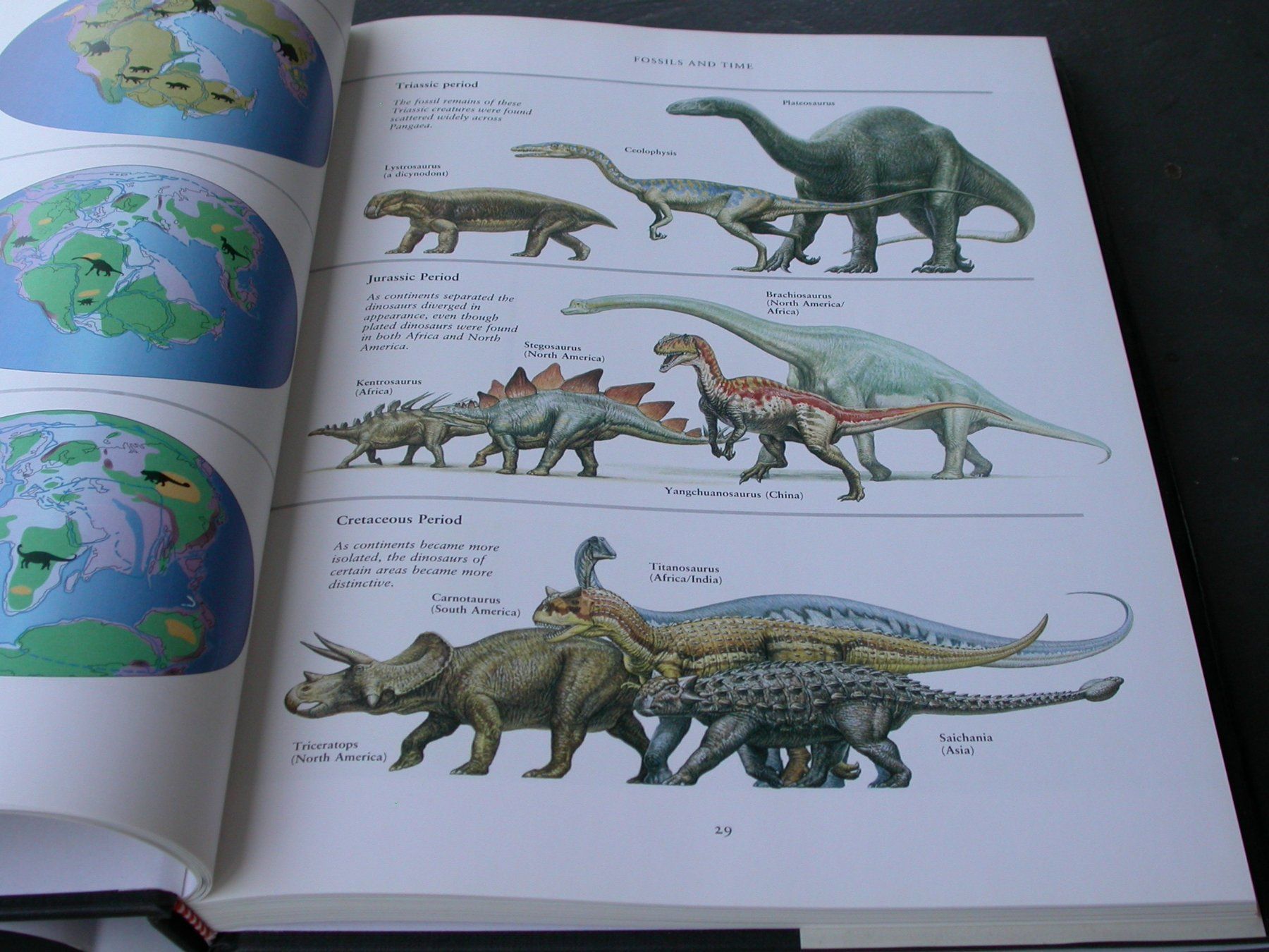 Libri: Dinosaur – Usato da Zürich venduto da Marcel6887 3