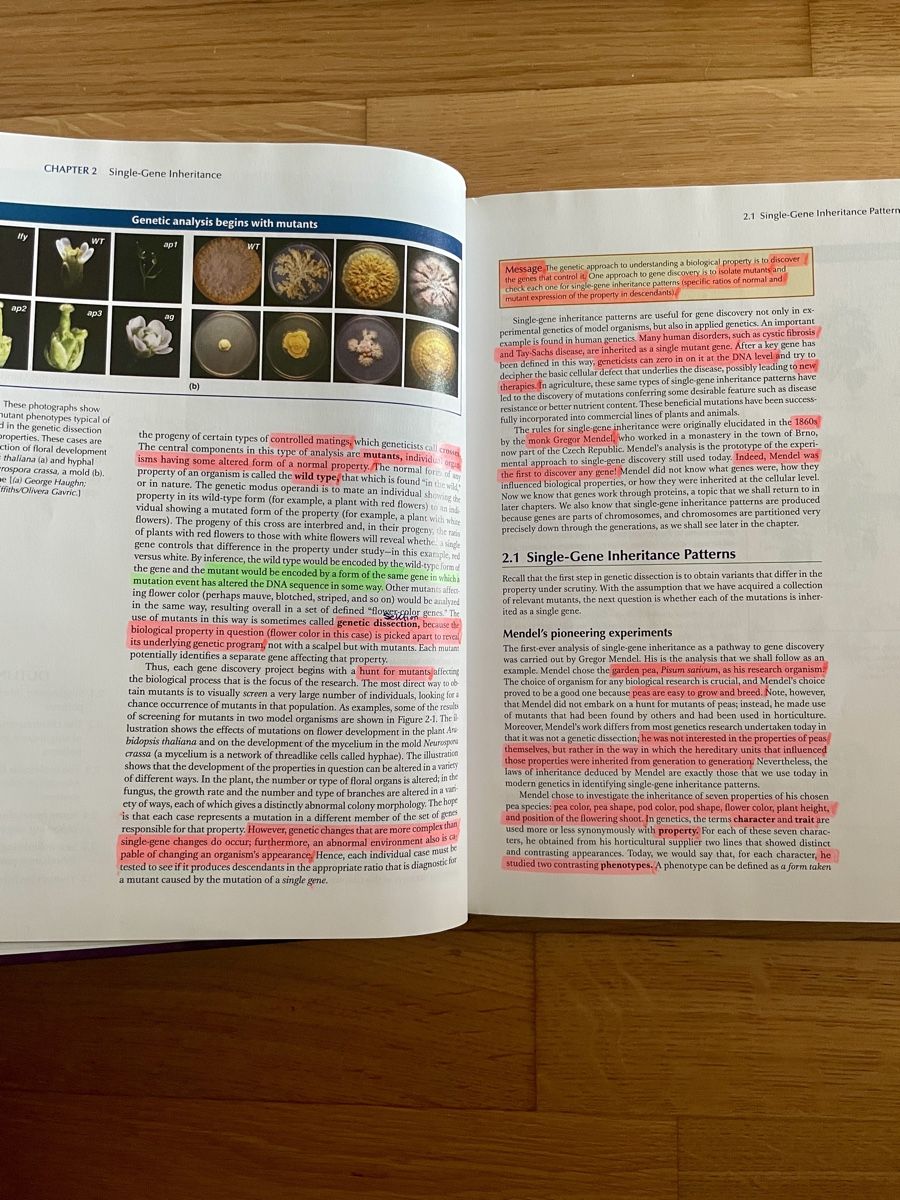 Libri: Introduction to Genetic Analysis, Griffiths, wenig gebraucht – Usato da Sursee venduto da Steffi_2020 1