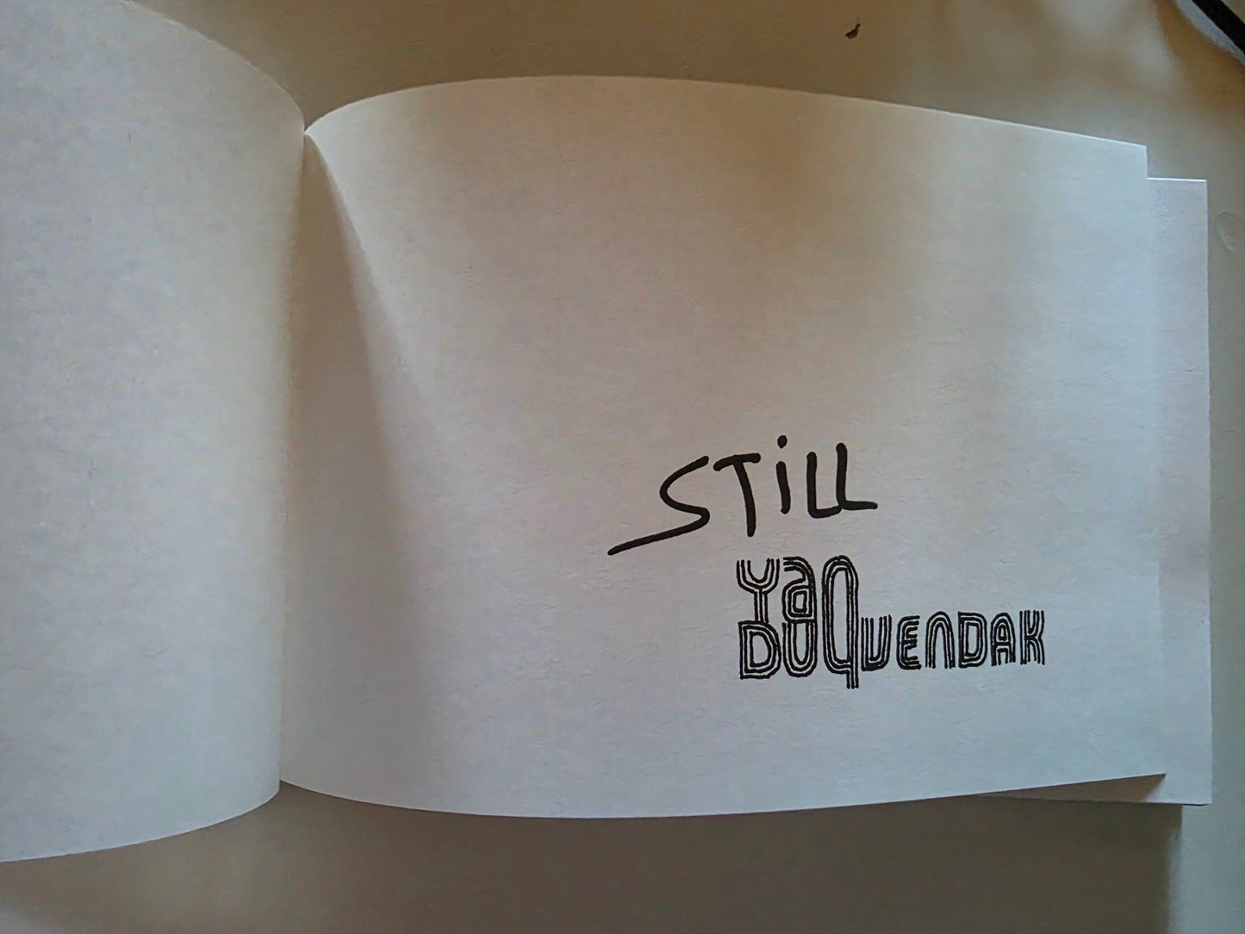 Bücher: Still - Yan Duyvendak - 2007 signiert UBS Event – Gebraucht aus Walterswil BE von Lonitti 2