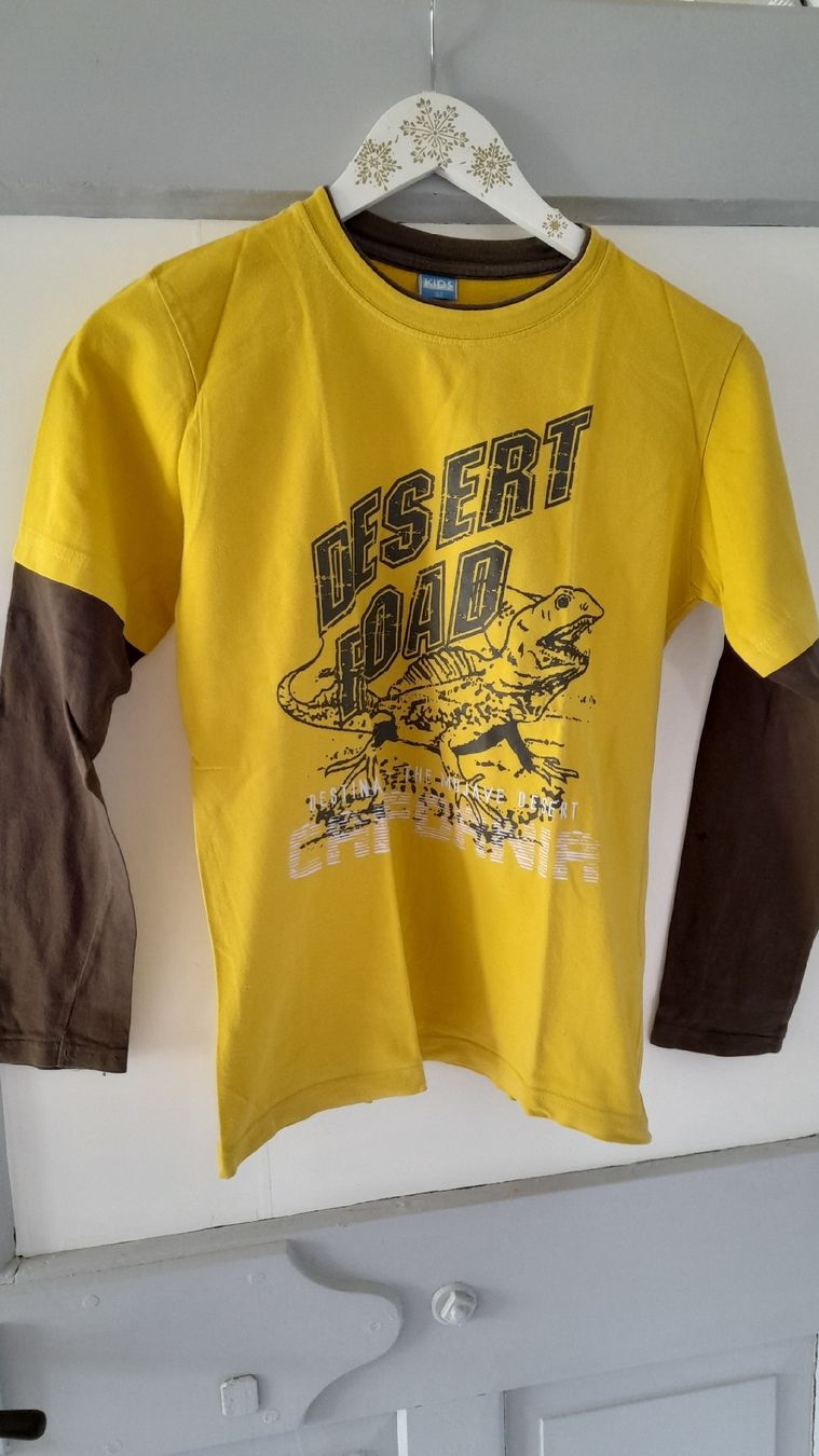 Pulls & Sweat-shirts: Pullover Gr. 152 – D'occasion à Nesslau par Churfirsten08
