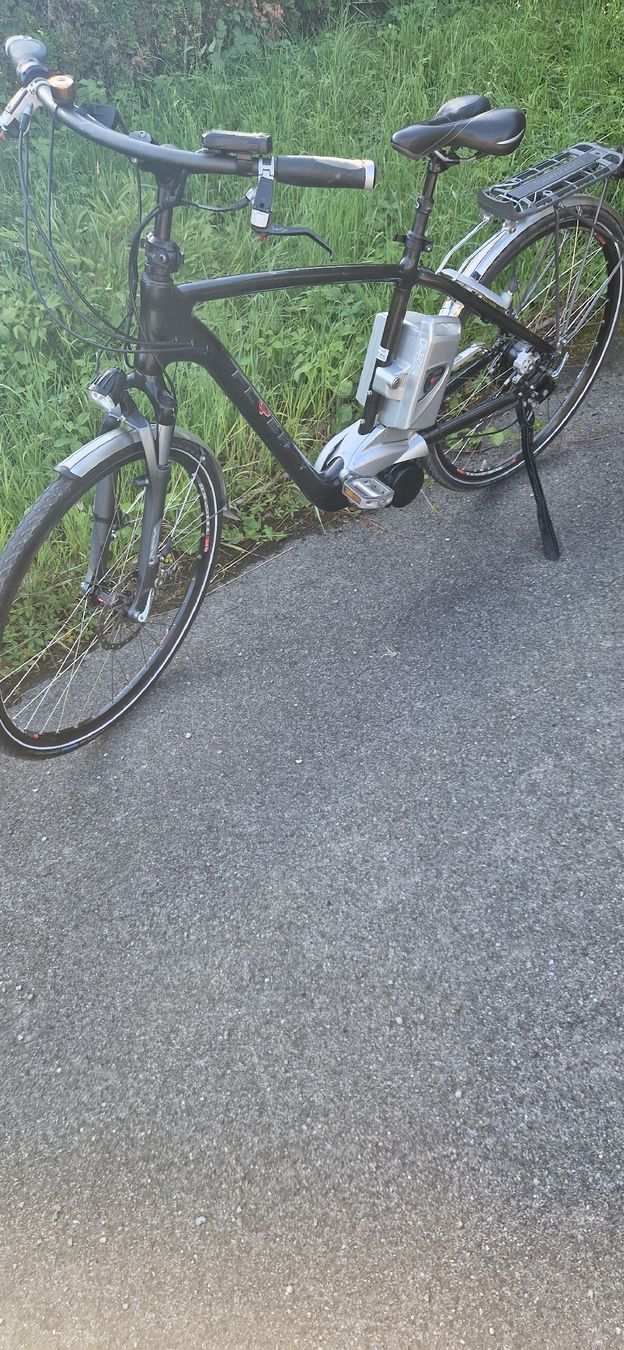 Flyer Biciclette: E-Bike FLYER – Usato da Romanshorn venduto da fag_gnd6 1
