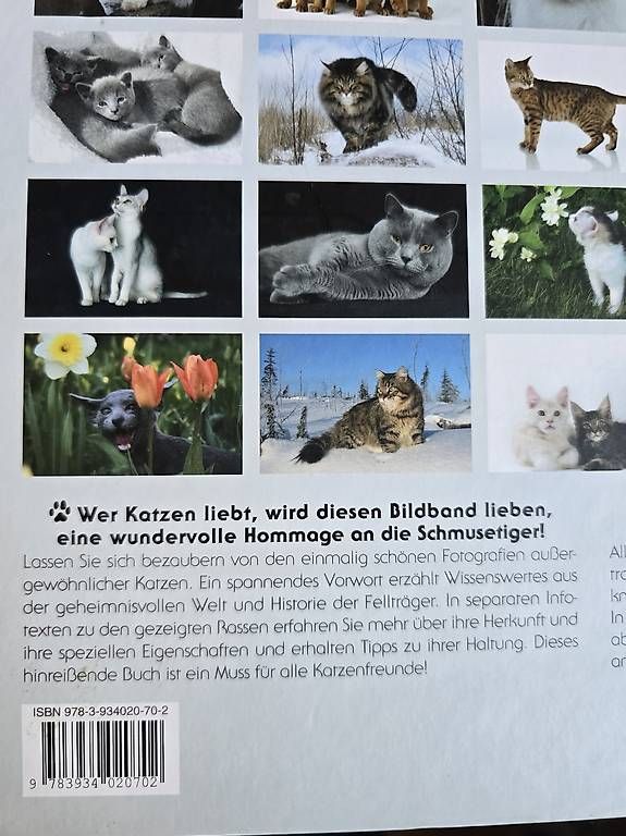 Libri: Grosses Katzenbuch – Usato da Ettingen venduto da schnaegli1987 1