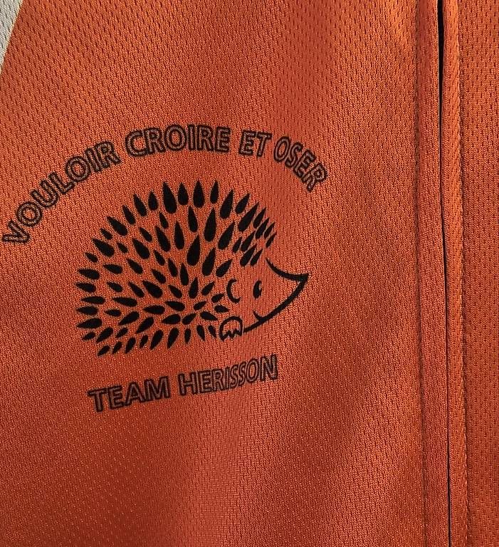 Canottiere & Pantaloni: Maillot de velo vintage " Team Herisson " taille Small – Usato da Sugiez venduto da factorysportoutlet 3
