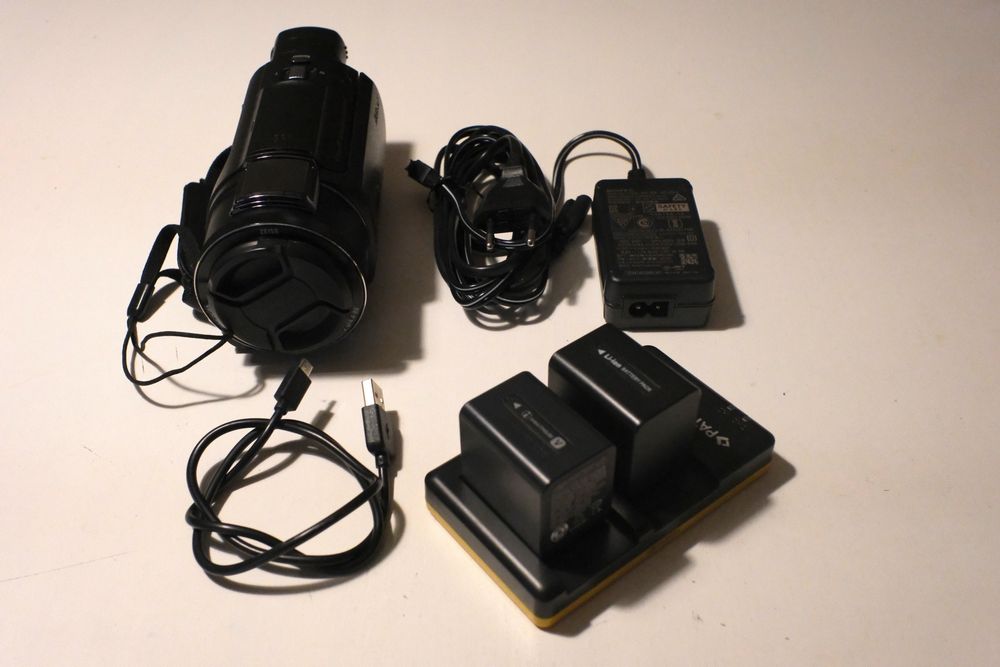 vhbw 2x batteria compatibile con Sony Handycam FDR-AX53E, FDR-AX53, FDR-AX700 videocamera camcorder (1300mAh, 7,2V, Li-Ion) con infochip