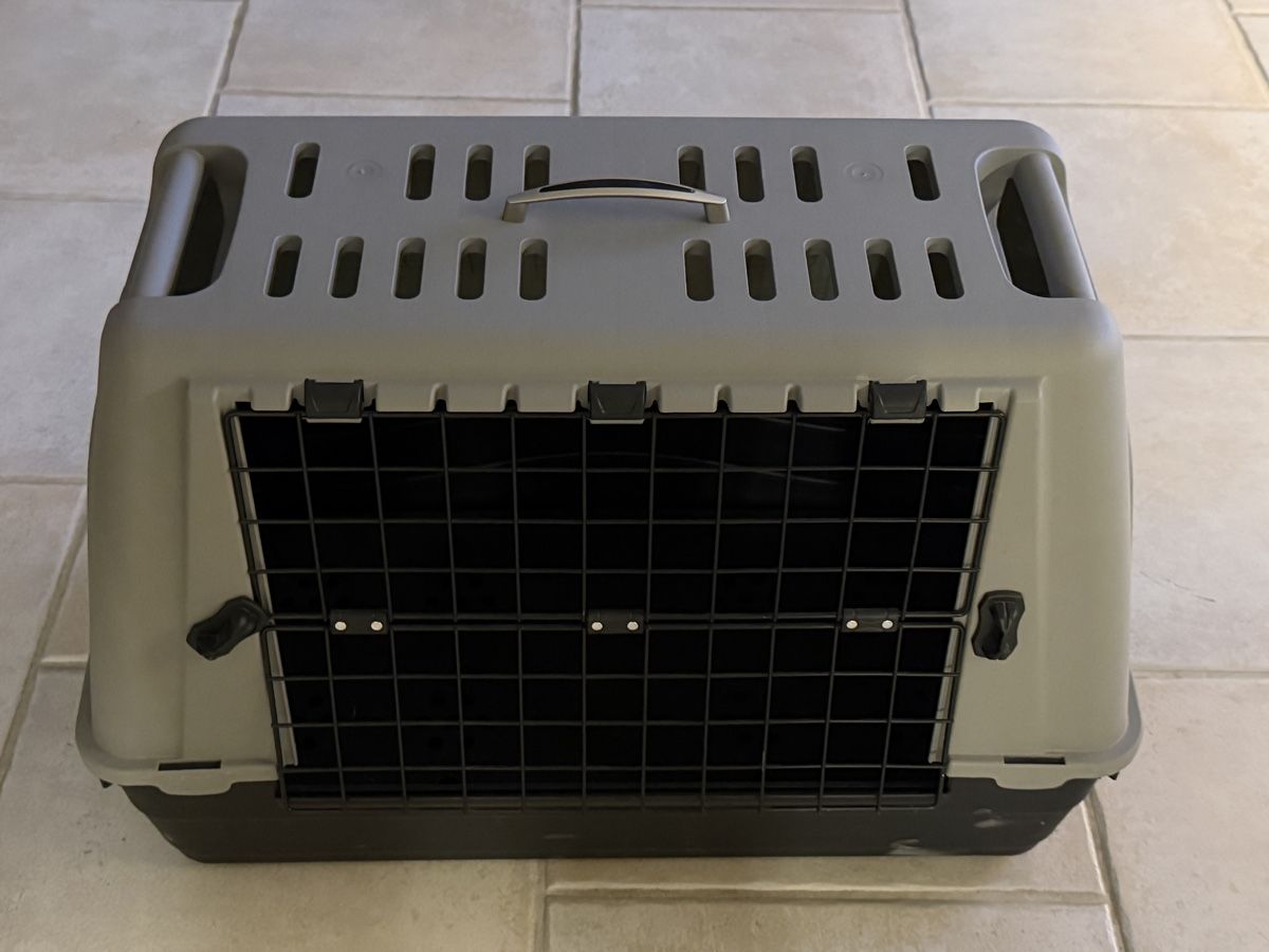 Käfige, Transport & Sicherheit: Transportbox Hund Katze sauber Mittel – Neu (gemäss Beschreibung) aus Dänikon ZH von RAFIMIKI