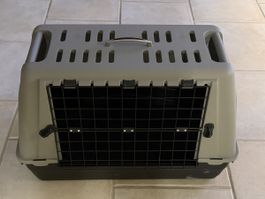 Transportbox Hund Katze sauber Mittel