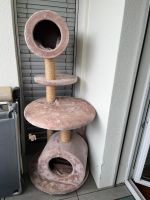 Arbre à chat