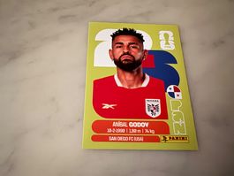 Panini FIFA Fussball WM 2026 Sticker Anibal Godoy PAN 11