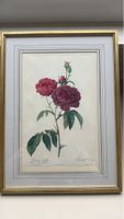 Botanisches Rosen Bild Druck mit Goldrahmen