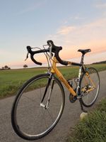 BMC StreetFire SS01 (Grösse 56/L) – frisch ab Service