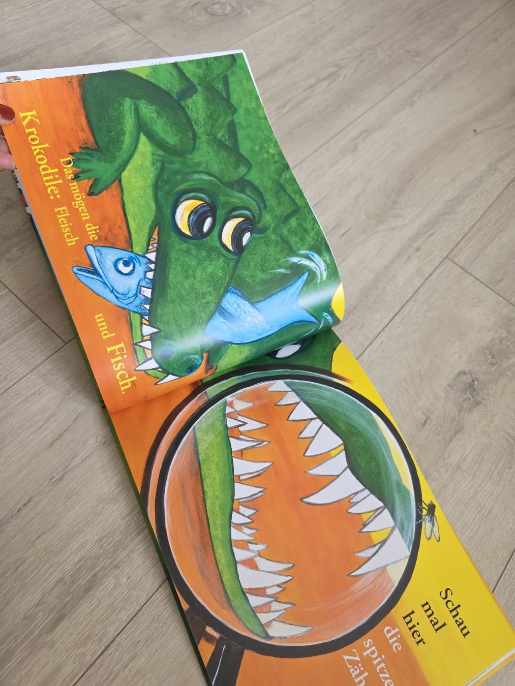 Libri: Kinderbuch "Charlie" von Elisabeth Neu – Nuovo (secondo la descrizione) da Wigoltingen venduto da Zuckerfee84 3