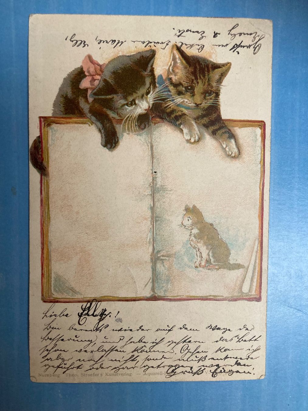 Cartoline postali: Katzen - antike Postkarte 1901 – Usato da zürich venduto da papalapa