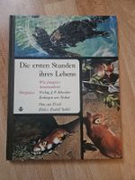 "Die ersten Stunden ihres Lebens" - Tierbuch Säugetiere