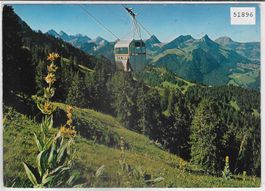 Telecabine Charmey-Les Dents-Vertes - Gruyere