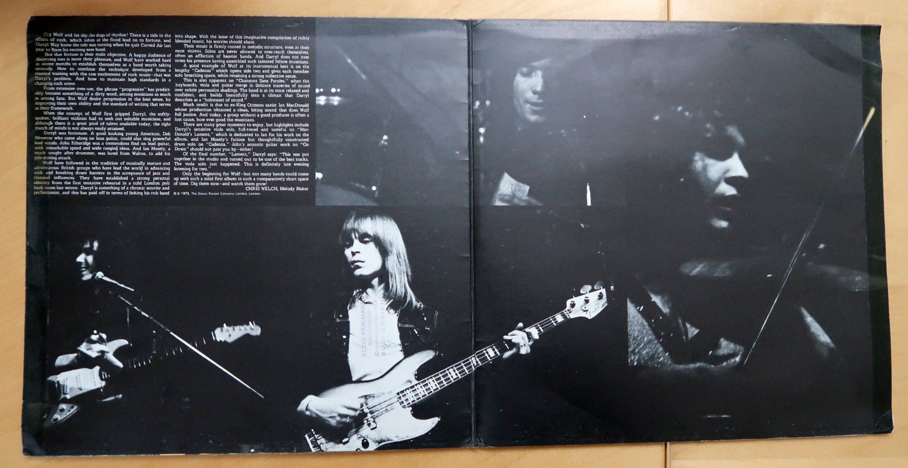 Dischi in vinile: DARRYL WAY's WOLF - CANIS LUPUS (LP VG) – Usato da Hedingen venduto da Studers 1